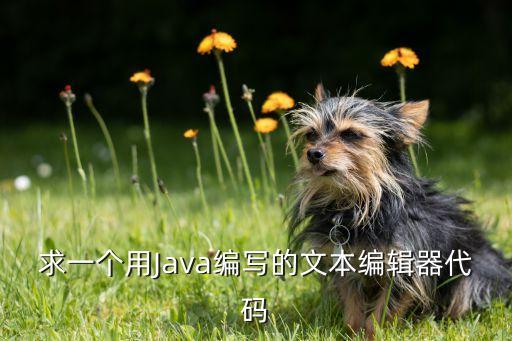 求一個用Java編寫的文本編輯器代碼