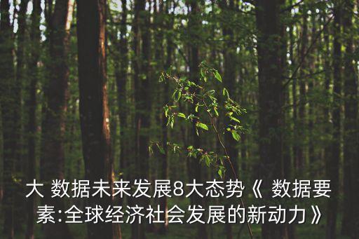大 數(shù)據(jù)未來發(fā)展8大態(tài)勢《 數(shù)據(jù)要素:全球經(jīng)濟(jì)社會(huì)發(fā)展的新動(dòng)力》