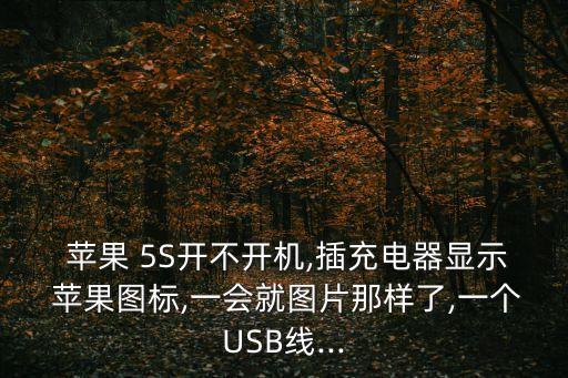  蘋果 5S開不開機,插充電器顯示 蘋果圖標,一會就圖片那樣了,一個USB線...