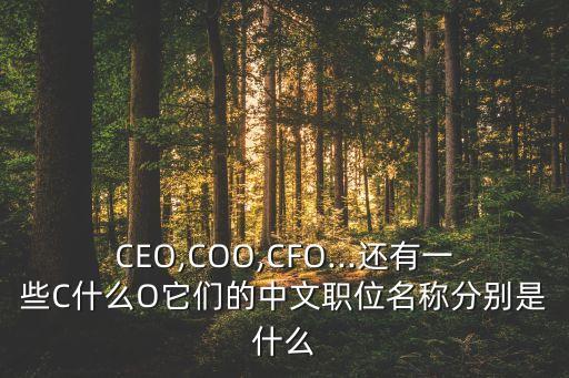 中國(guó)cdo首席數(shù)據(jù)官聯(lián)盟,吉利汽車(chē) CDO首席數(shù)據(jù)官
