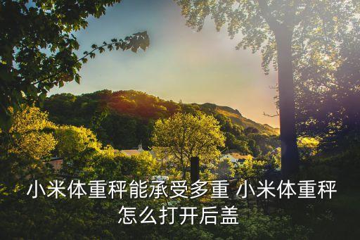  小米體重秤能承受多重 小米體重秤怎么打開后蓋