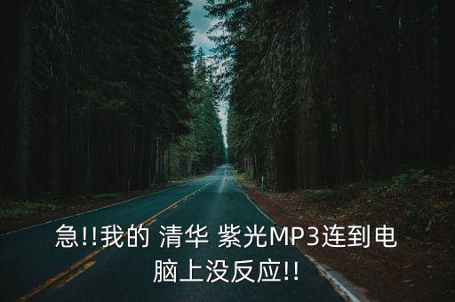急!!我的 清華 紫光MP3連到電腦上沒反應!!
