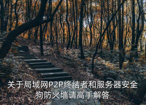 關(guān)于局域網(wǎng)P2P終結(jié)者和服務(wù)器安全狗防火墻請高手解答