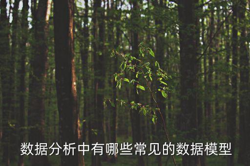 企業(yè)數(shù)據(jù)分析的架構(gòu)和方法論,數(shù)據(jù)分析方法論5W2H