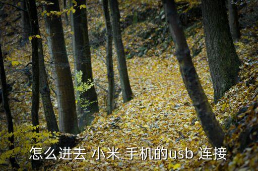 怎么進(jìn)去 小米 手機(jī)的usb 連接