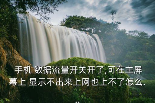  手機(jī) 數(shù)據(jù)流量開關(guān)開了,可在主屏幕上 顯示不出來上網(wǎng)也上不了怎么...
