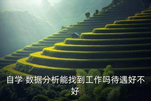 怎么找數(shù)據(jù)分析的工作,數(shù)據(jù)分析工作太難干了