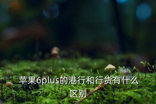  蘋果6plus的港行和行貨有什么區(qū)別