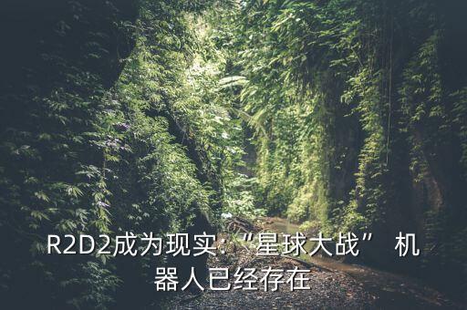 R2D2成為現(xiàn)實(shí):“星球大戰(zhàn)” 機(jī)器人已經(jīng)存在