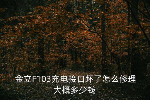  金立F103充電接口壞了怎么修理大概多少錢