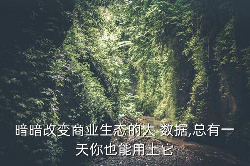 暗暗改變商業(yè)生態(tài)的大 數(shù)據(jù),總有一天你也能用上它