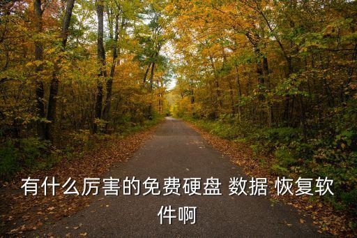有什么厲害的免費硬盤 數(shù)據(jù) 恢復軟件啊
