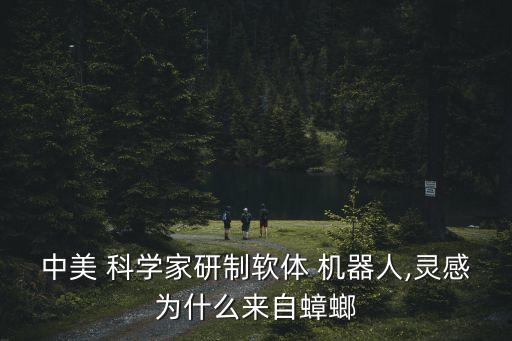 研究機器人算科學(xué)家嗎,沒有權(quán)限by機器人科學(xué)家