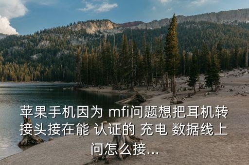 沒有mfi認證數(shù)據(jù)線怎么充電,非Mfi認證數(shù)據(jù)線傷機嗎