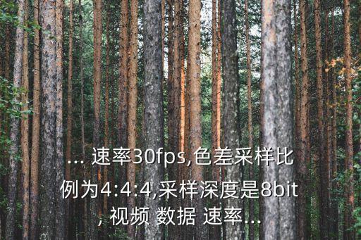 ... 速率30fps,色差采樣比例為4:4:4,采樣深度是8bit, 視頻 數(shù)據(jù) 速率...