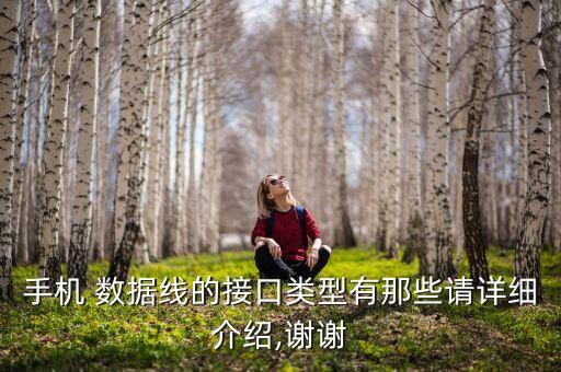 手機 數(shù)據(jù)線的接口類型有那些請詳細介紹,謝謝