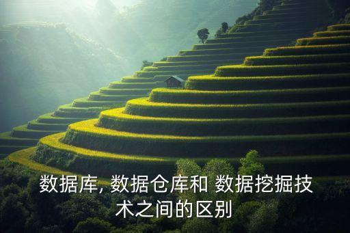數(shù)據(jù)與決策支持系統(tǒng),決策支持系統(tǒng)屬于系統(tǒng)軟件嗎