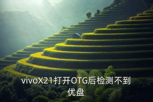 vivoX21打開OTG后檢測不到優(yōu)盤