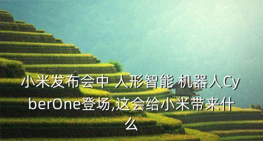 中國(guó)國(guó)產(chǎn)人形機(jī)器人,國(guó)產(chǎn)人形機(jī)器人可以空翻嗎