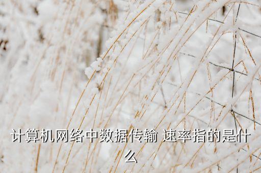 計(jì)算機(jī)網(wǎng)絡(luò)中數(shù)據(jù)傳輸 速率指的是什么