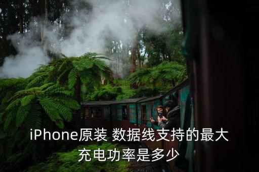iPhone原裝 數(shù)據(jù)線支持的最大充電功率是多少