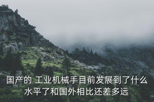 老外評(píng)論工業(yè)機(jī)器人