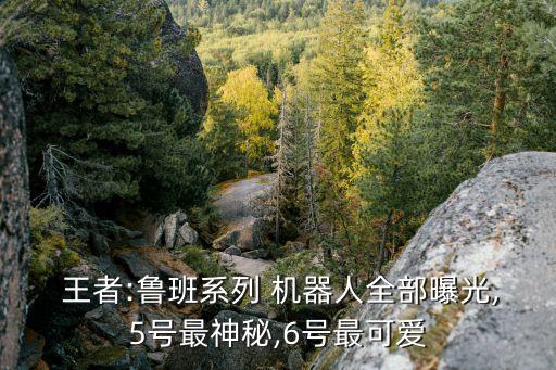  王者:魯班系列 機(jī)器人全部曝光,5號(hào)最神秘,6號(hào)最可愛(ài)