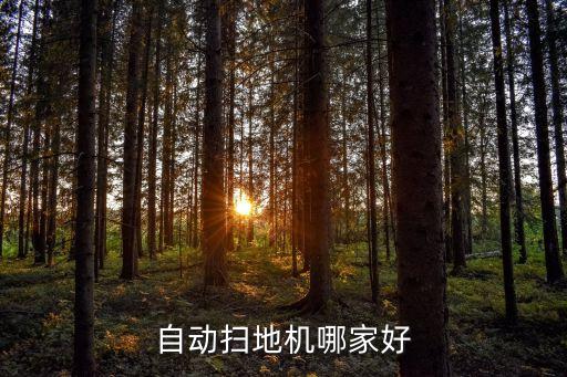 斐納機器人有什么功能