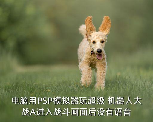 電腦用PSP模擬器玩超級 機(jī)器人大戰(zhàn)A進(jìn)入戰(zhàn)斗畫面后沒有語音