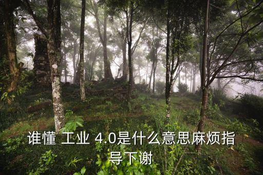 誰懂 工業(yè) 4.0是什么意思麻煩指導(dǎo)下謝