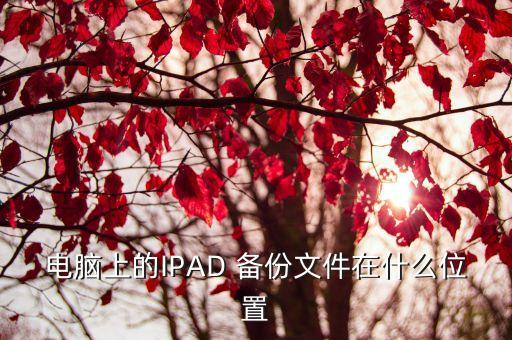 電腦上的IPAD 備份文件在什么位置