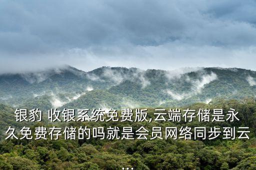 銀豹 收銀系統(tǒng)免費版,云端存儲是永久免費存儲的嗎就是會員網絡同步到云...