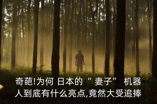 奇葩!為何 日本的“ 妻子” 機(jī)器人到底有什么亮點(diǎn),竟然大受追捧