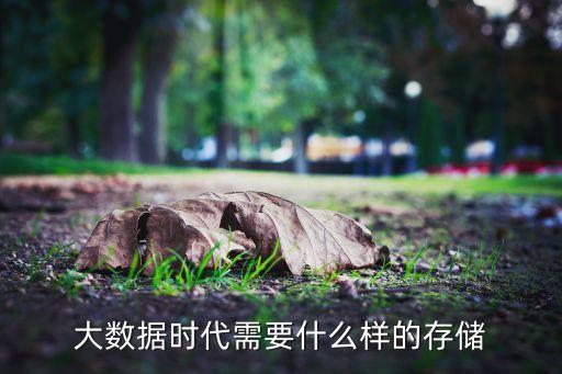 大數(shù)據(jù)時(shí)代需要什么樣的存儲(chǔ)