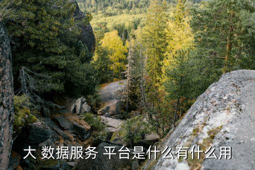 大 數(shù)據(jù)服務(wù) 平臺是什么有什么用