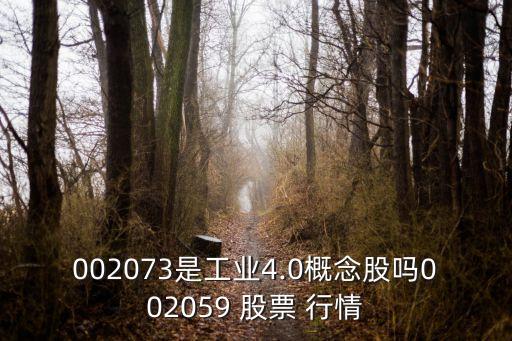 002073是工業(yè)4.0概念股嗎002059 股票 行情