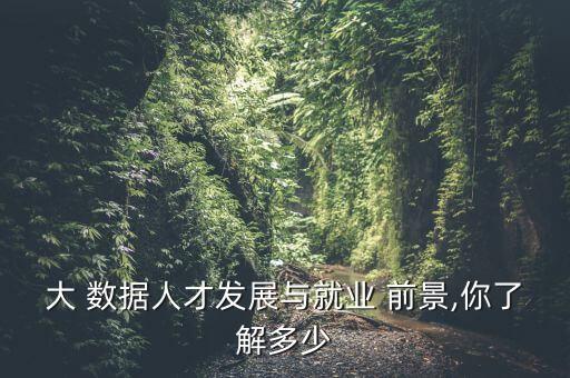 大數(shù)據(jù)工程師前景