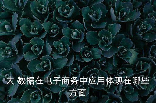 大 數(shù)據(jù)在電子商務(wù)中應(yīng)用體現(xiàn)在哪些方面