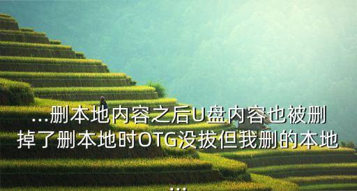 ...刪本地內容之后U盤內容也被刪掉了刪本地時OTG沒拔但我刪的本地...