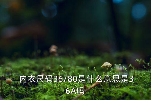 bra大數(shù)據(jù)內(nèi)衣測試