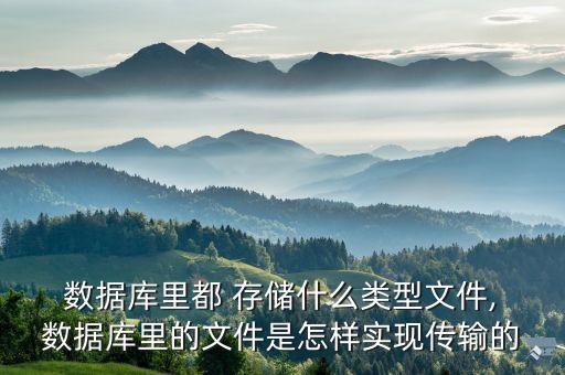  數(shù)據(jù)庫(kù)里都 存儲(chǔ)什么類型文件, 數(shù)據(jù)庫(kù)里的文件是怎樣實(shí)現(xiàn)傳輸?shù)? class=