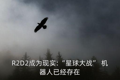重力機(jī)器人安卓,機(jī)器人研究記錄安卓漢化