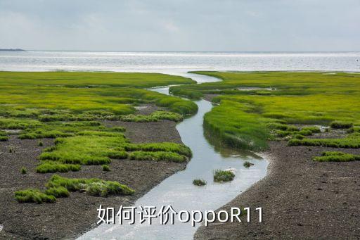 r11邊框數(shù)據(jù),excel數(shù)據(jù)添加邊框