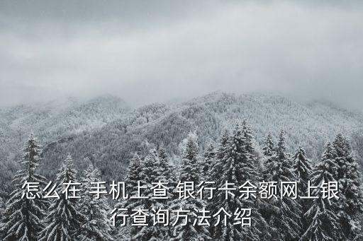 怎么在 手機(jī)上查 銀行卡余額網(wǎng)上銀行查詢方法介紹