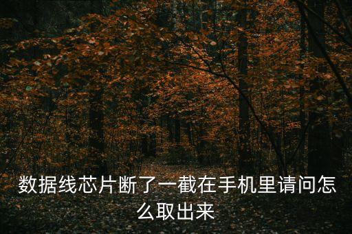  數(shù)據(jù)線芯片斷了一截在手機里請問怎么取出來