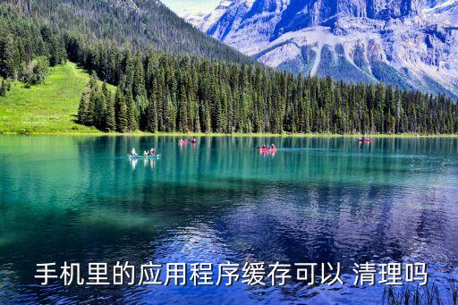 手機軟件數(shù)據(jù)清理,蘋果手機軟件數(shù)據(jù)怎么清理