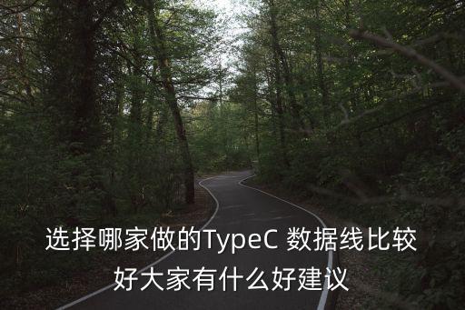 選擇哪家做的TypeC 數(shù)據(jù)線比較好大家有什么好建議