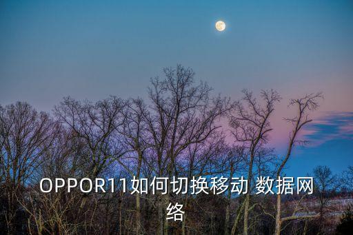 OPPOR11如何切換移動(dòng) 數(shù)據(jù)網(wǎng)絡(luò)
