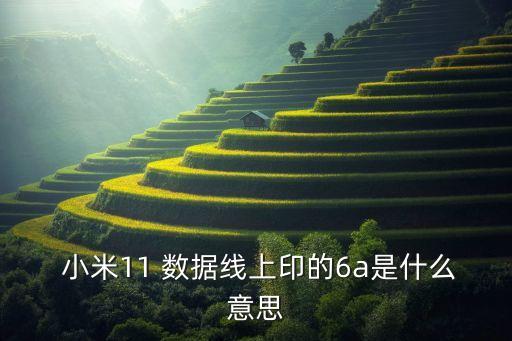  小米11 數(shù)據(jù)線上印的6a是什么意思