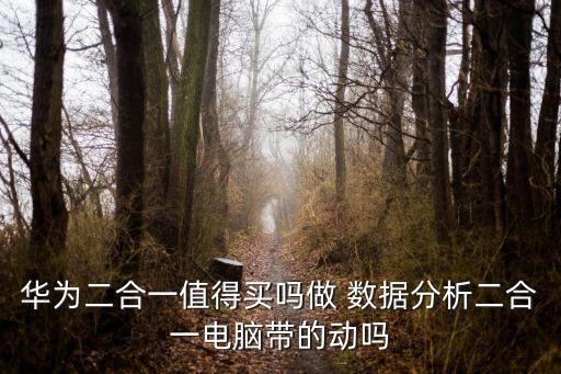 華為二合一值得買嗎做 數(shù)據(jù)分析二合一電腦帶的動嗎